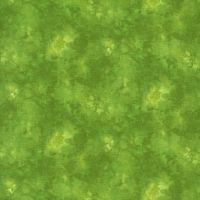 ttKIM-C6100 LIME